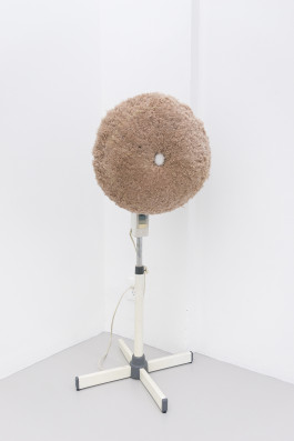 Justin Chance A English Rose, 2018 Piled wool, standing fan, gesso, cotton ball 