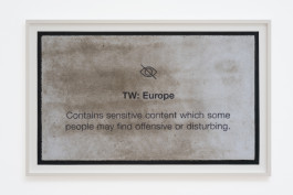 Jonas Höschl TW: Europe, 2022 70x 109 cm Doormat (performance relic), dirt 