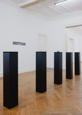 Ahmet Öğüt, Stones To Throw, 2011 variable dimensions Mixed Media Installation Mail and public art project