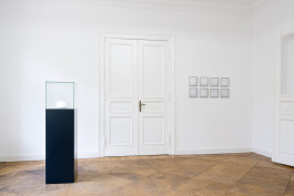 Sascha Herrmann Nacre 