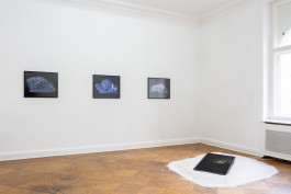 Sascha Herrmann, Glimmer