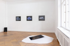 Sascha Herrmann, Glimmer