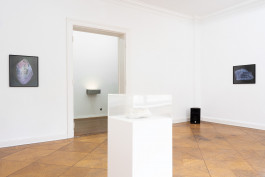 Sascha Herrmann, Glimmer