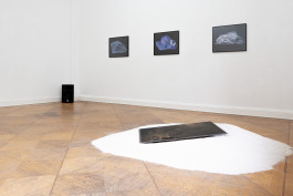 Sascha Herrmann, Glimmer