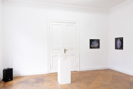 Sascha Herrmann, Glimmer