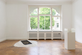 Sascha Herrmann, Glimmer