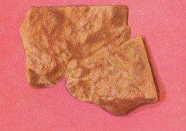 Olga Hohmann | The Overview Effect 