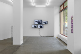 Look! Installation show by Julian Blum Galerie Anton Janizewski, 2024