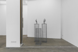Emma Adler Die Warheit, 2024 160 x 75 x 75 cm Steel, 3D prints, aluminum, chain, magnifying glass or instead of steel gabions
