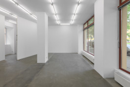 Galerie Anton Janizewski, Photo Julian Blum 