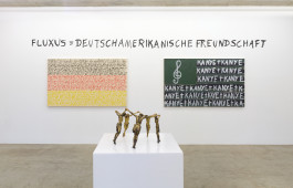Nicholas Warburg, FLUXUS, Neuer Aachener Kunstverein, Photo Simon Vogel 