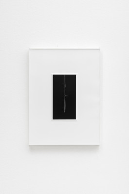 Jiyoon Chung, Buds, 2022/2024, gelatin silver print on fibre based paper, acrylic, artist frame, 39 x 29 x 3 cm, Edition 1/3