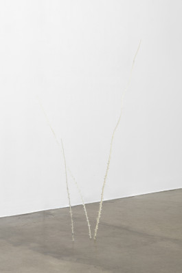 Jiyoon Chung Buds, 2024 epoxy dimension variable