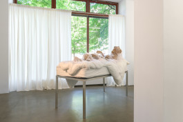 Rebekka Benzenberg Peace will come and with it sleep 2025 